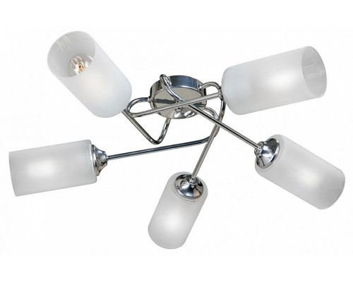 Потолочная люстра Vitaluce  V4909-9/5PL
