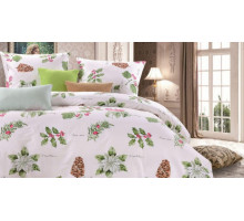 Постельное белье двуспальное C-182