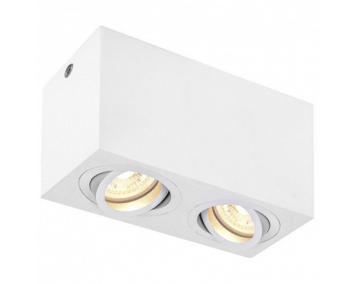 Накладной светильник SLV Triledo 1002006