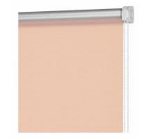 Штора рулонная (50x160 см) Блэкаут Аспен