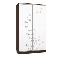 Шкаф-купе Рио 7-600 18