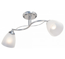 Светильник на штанге Vitaluce  V3943-9/2PL