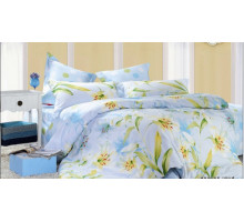 Постельное белье двуспальное П-33