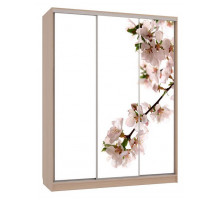 Шкаф-купе Бассо 7-600 яблоня