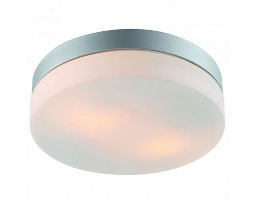 Накладной светильник Arte Lamp Aqua A3211PL-2SI