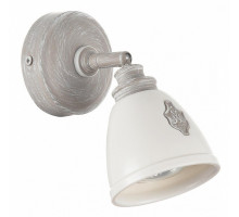 Спот Maytoni Agnes SP289-CW-01-BG