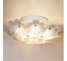 Накладной светильник Lussole Asinara 