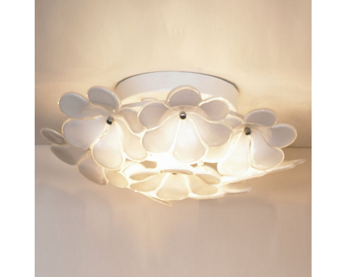 Накладной светильник Lussole Asinara