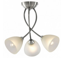 Потолочная люстра Arte Lamp Nikki A2576PL-3SS