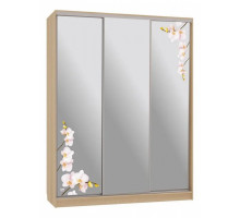 Шкаф-купе Бассо 4-600 орхидеи