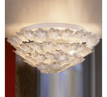 Накладной светильник Lussole Asinara 