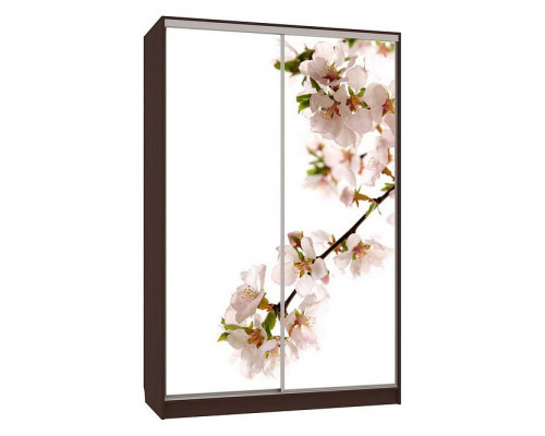 Шкаф-купе Рио 7-600 Европа