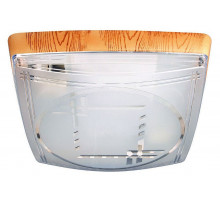 Накладной светильник Horoz Electric Модерн 