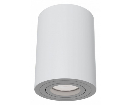 Накладной светильник Maytoni Alfa C016CL-01W