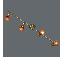 Спот Lussole Leggero 