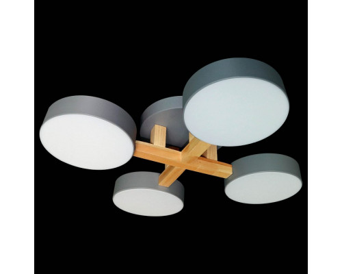 Накладной светильник Natali Kovaltseva 2132 LED LAMPS 81330