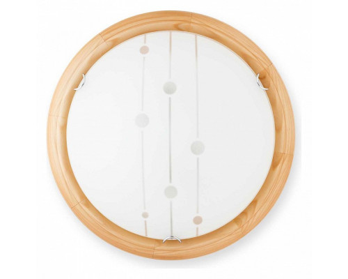 Накладной светильник TopLight Madison TL9033Y-02PN