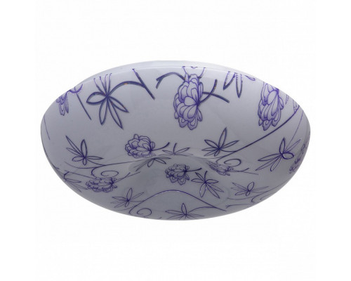 Накладной светильник MW-Light Омега 325014601