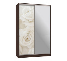 Шкаф-купе Рио 9-600 розы