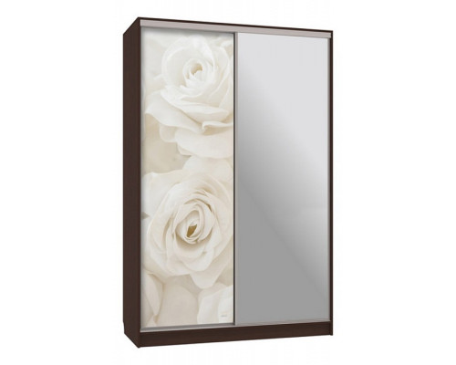 Шкаф-купе Рио 9-600 розы