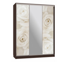 Шкаф-купе Бассо 10-600 розы