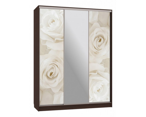 Шкаф-купе Бассо 10-600 розы