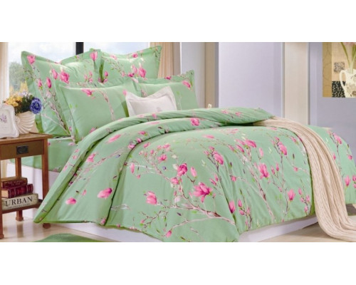 Постельное белье двуспальное C-219