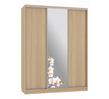 Шкаф-купе Бассо 1-600 орхидеи