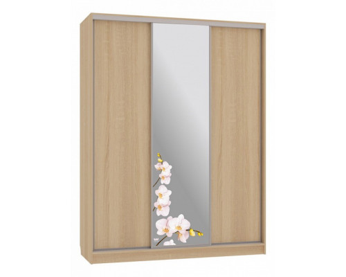 Шкаф-купе Бассо 1-600 орхидеи