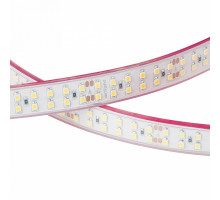Лента светодиодная Arlight 149 014953