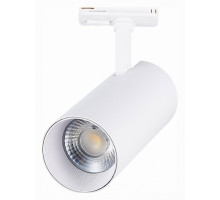 Светильник на штанге ST-Luce Mono 