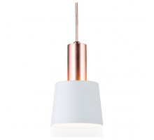 Подвесной светильник Paulmann Haldar 79656