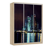 Шкаф-купе Бассо 7-600 07