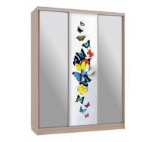 Шкаф-купе Бассо 9-600 88