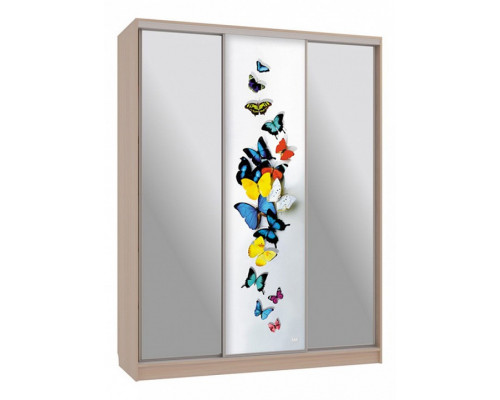 Шкаф-купе Бассо 9-600 88