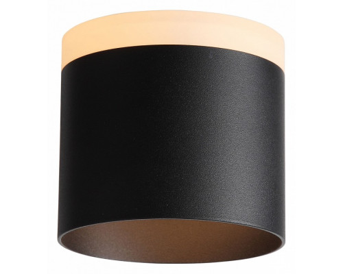 Накладной светильник ST-Luce Panaggio