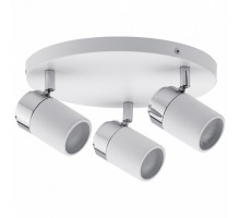 Спот Paulmann Zyli 66712