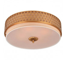 Накладной светильник Divinare Biscotto 4005/01 PL-3