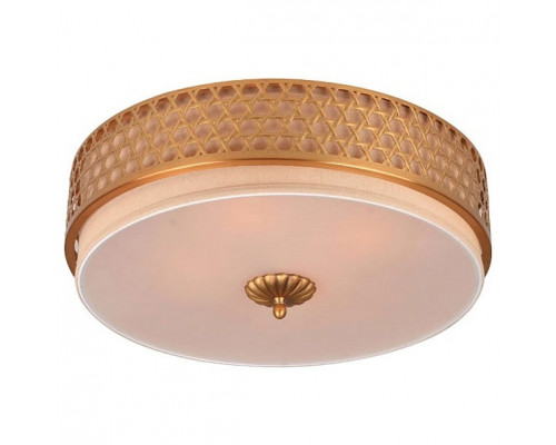 Накладной светильник Divinare Biscotto 4005/01 PL-3