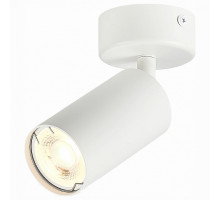 Спот ST-Luce Dario 