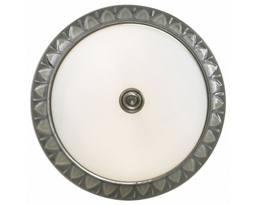 Накладной светильник Arte Lamp Hall A7838PL-2AB