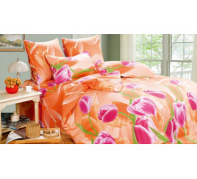 Постельное белье евростандарт A-131