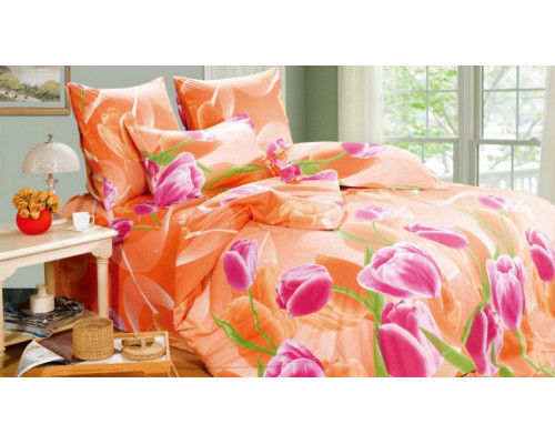 Постельное белье евростандарт A-131