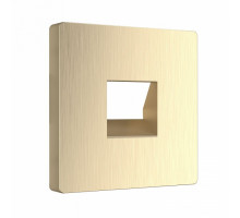 Накладка для розетки RJ11 Werkel шампань рифленый WL10-RJ-11-CP (шампань рифленый)