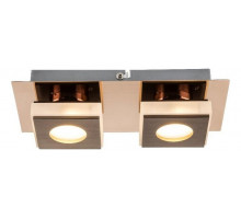 Накладной светильник Globo Cayman I 49403-2