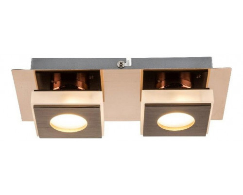 Накладной светильник Globo Cayman I 49403-2