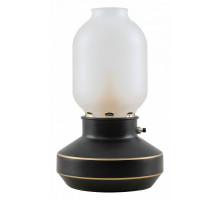 Настольная лампа декоративная Lussole Anchorage 