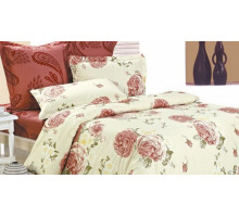 Постельное белье двуспальное B-60