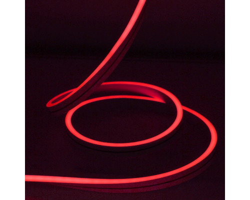 Шнур световой (50 м) RL-FX816-120-220V-P/P