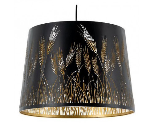 Подвесной светильник Arte Lamp Celesta A2700SP-1BK